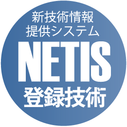 NETIS